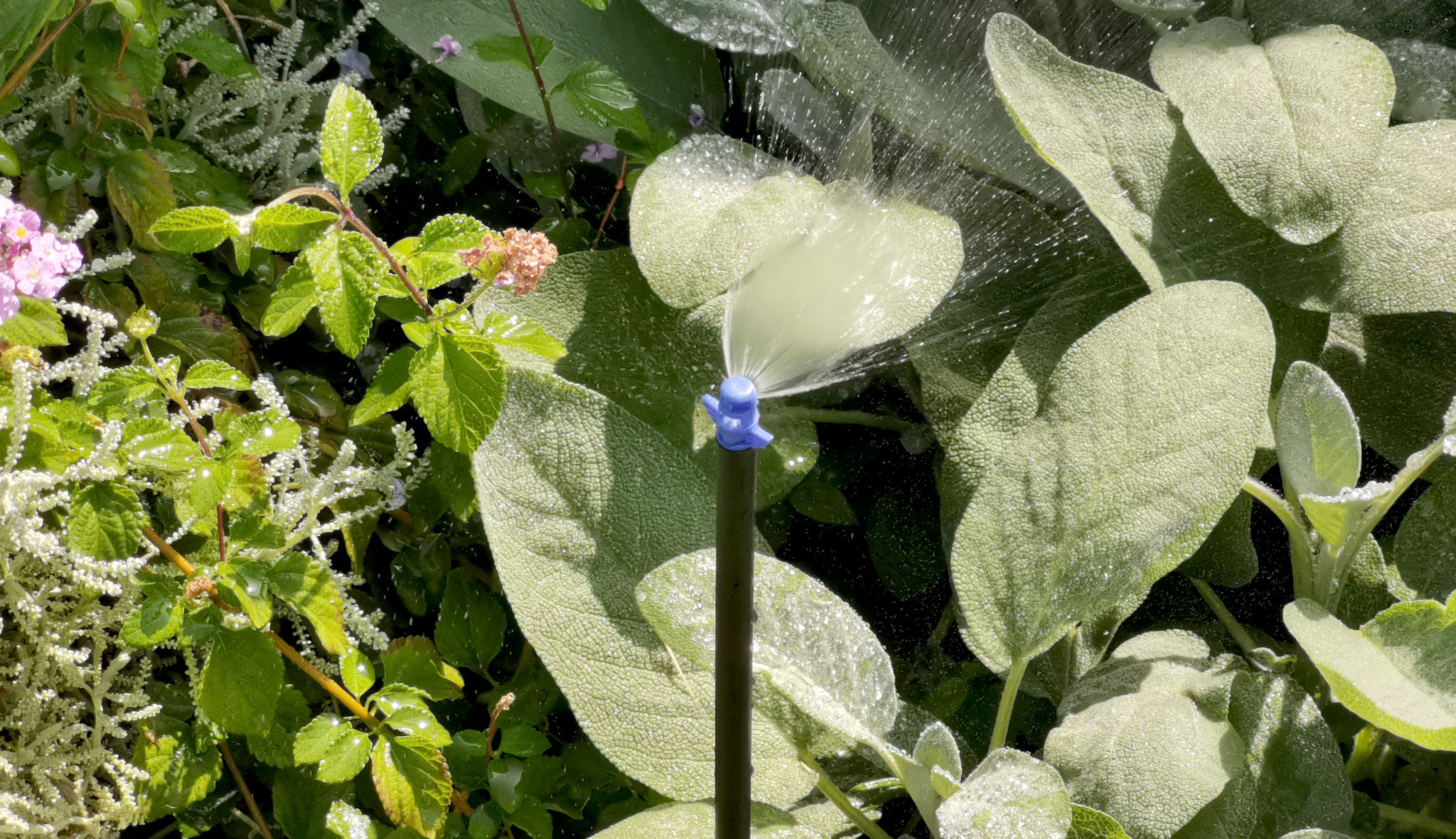 TECO Single Piece Spray Jets Micro Sprays