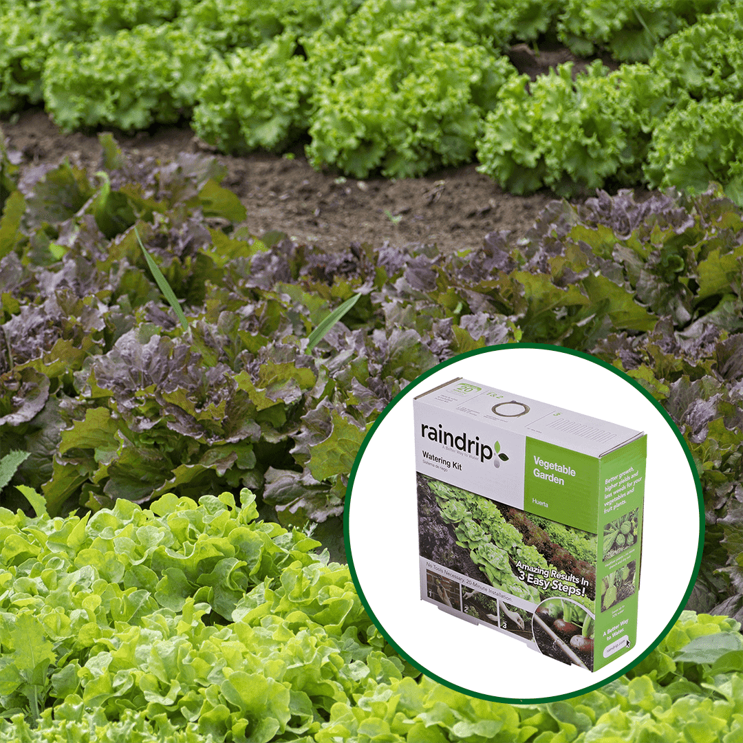 Raindrip Vegetable Garden Watering Kit