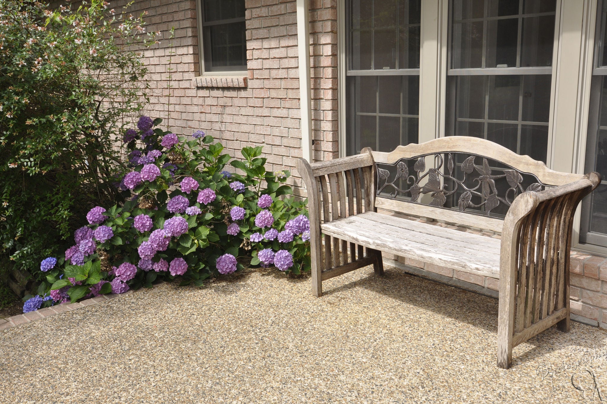 bench with purple flowers