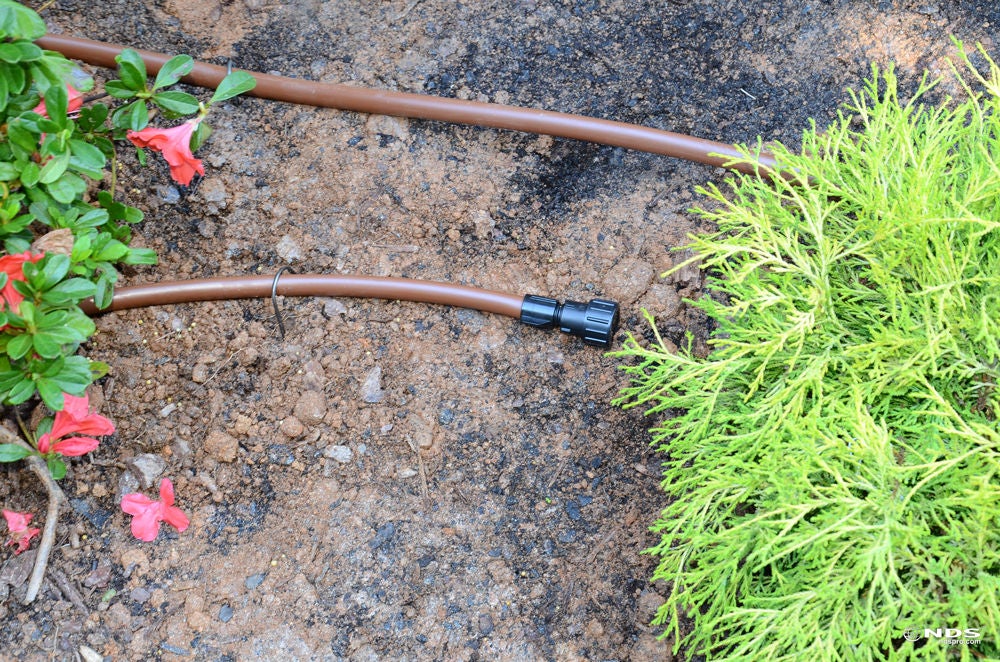 irrigation rows plants hose line