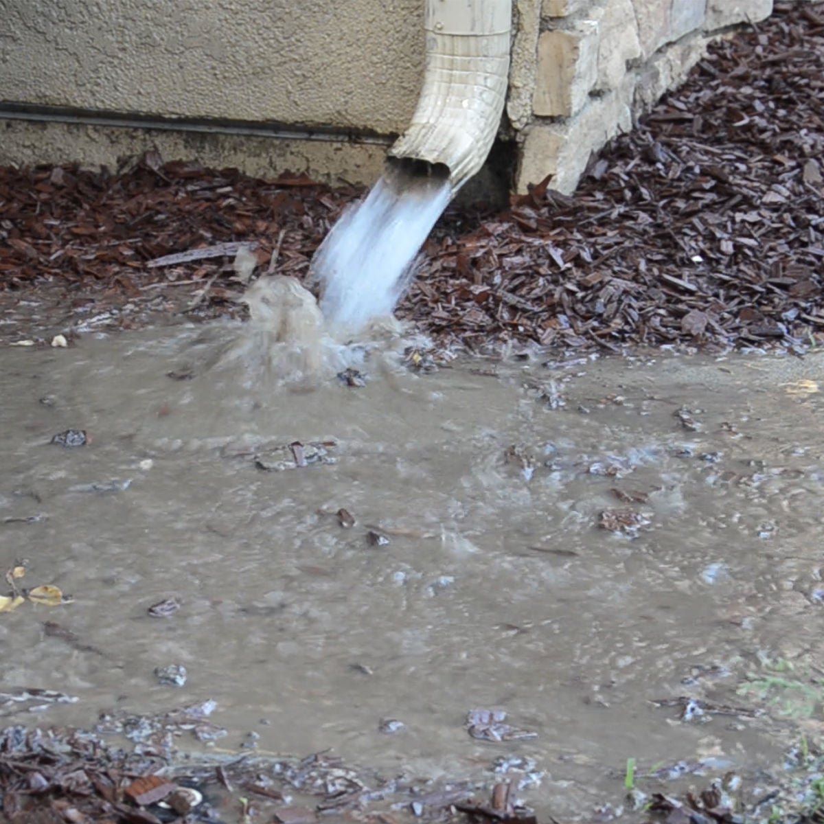 Downspout Runoff
