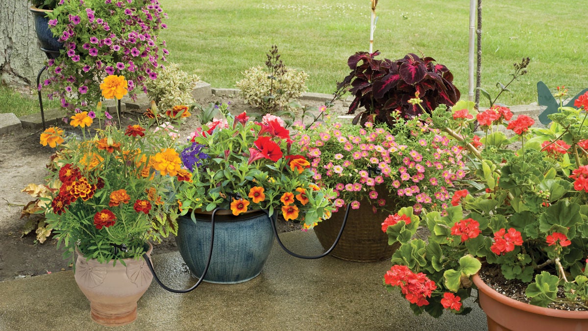 containers rain drip