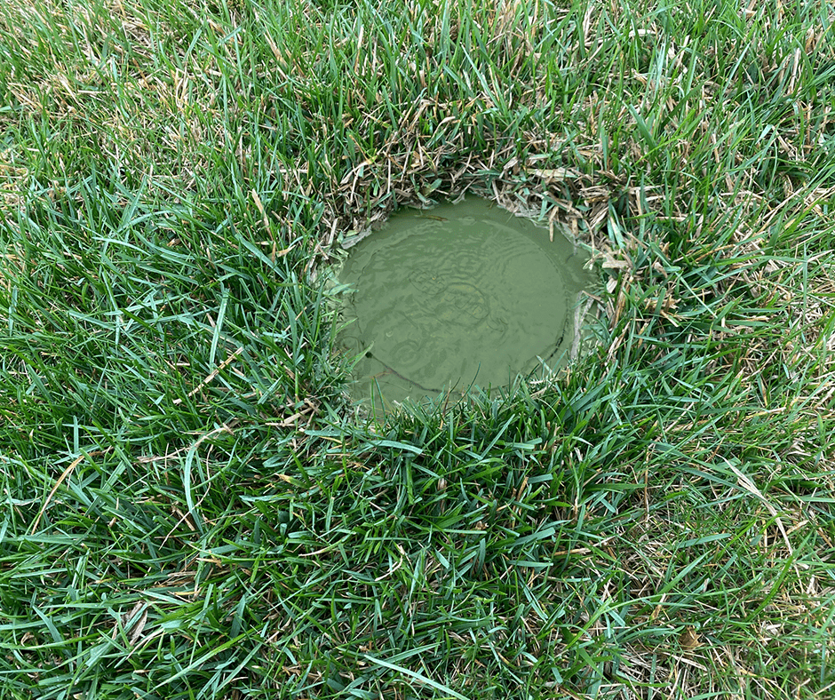 Pop-up emitter discharging water 