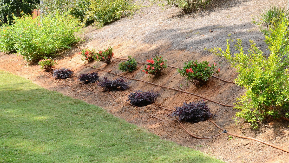 drip irrigation expert installation