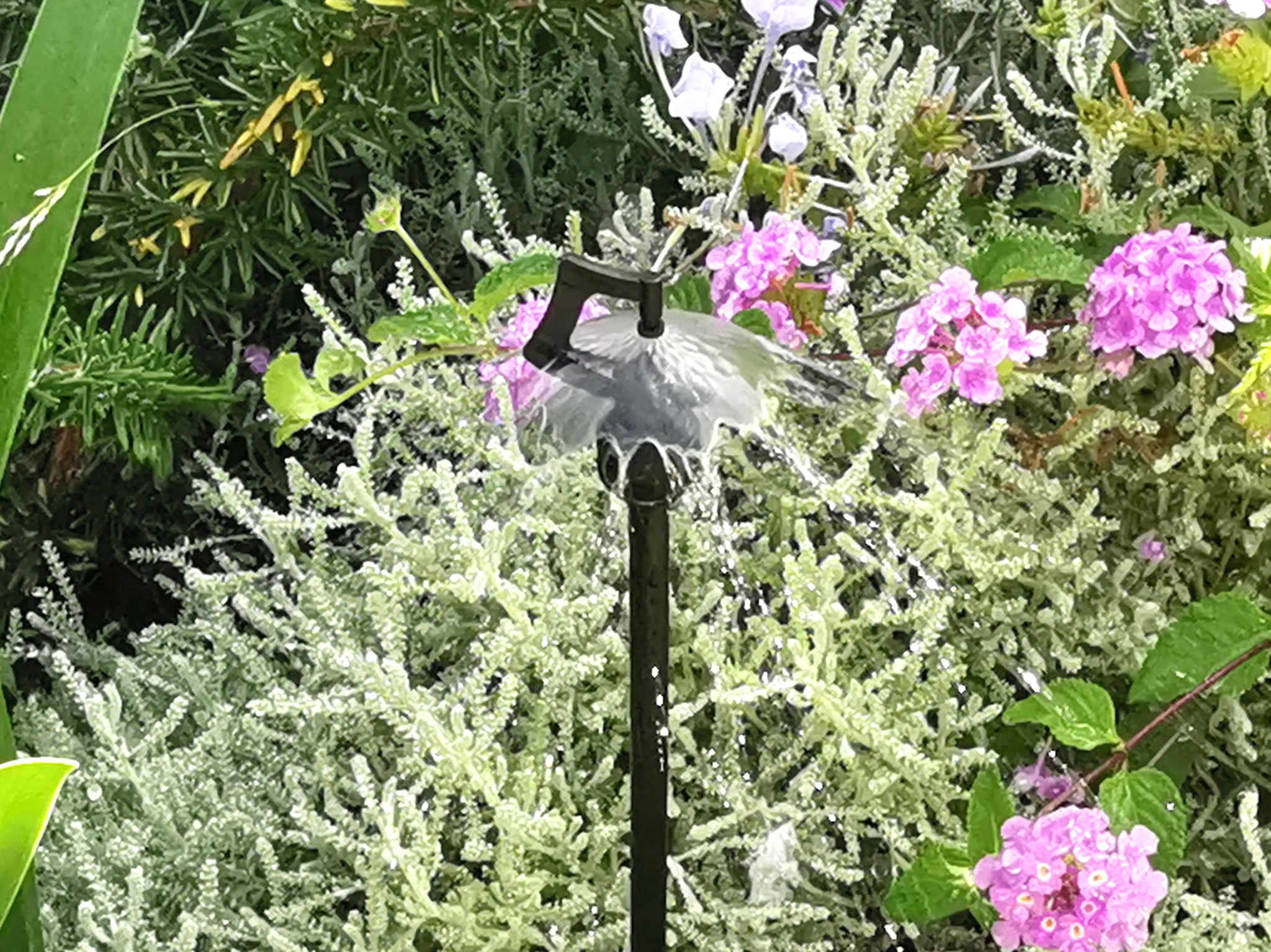 TECO Down Sprays & Stream Jets Standard & Pressure Compensating Sprays