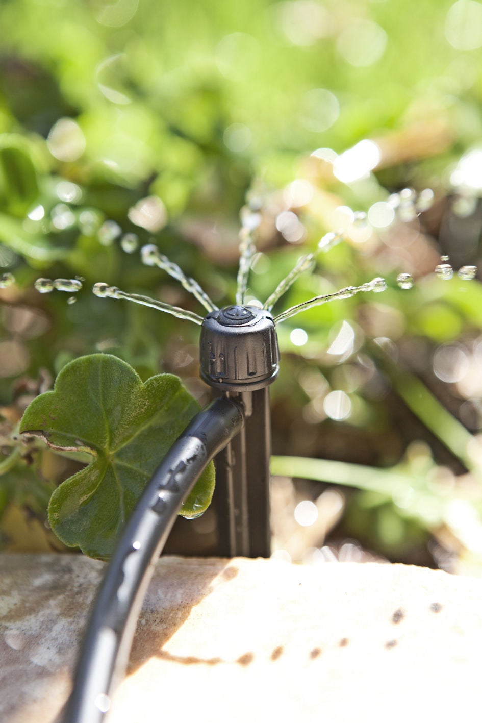 TECO Ottima™ 180° Adjustable 5 Stream Drippers
