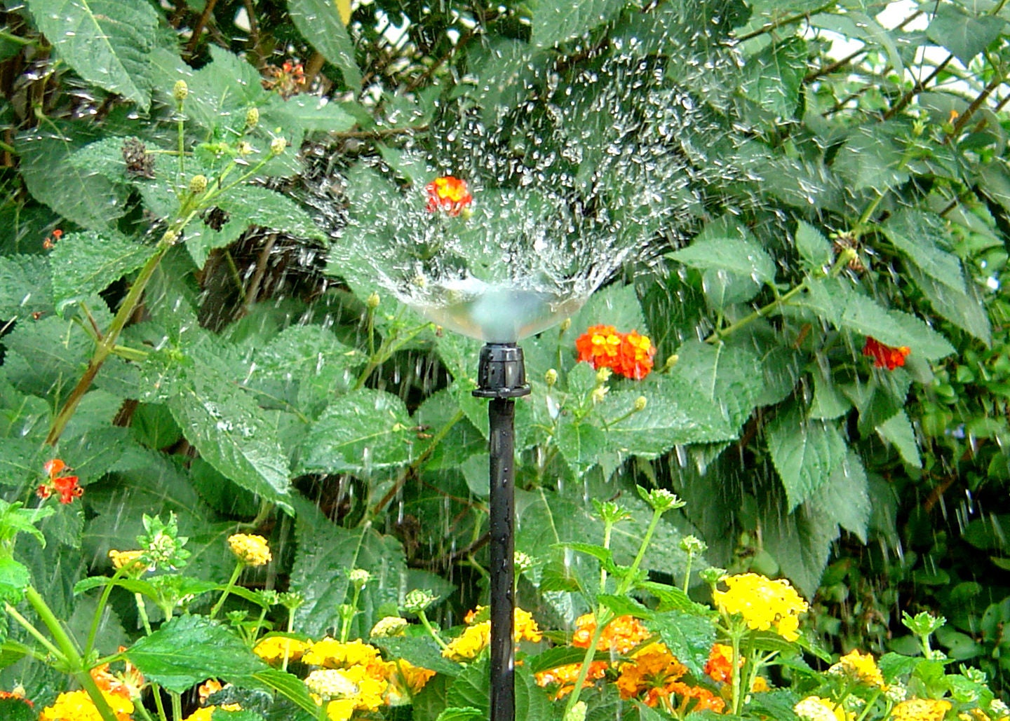 TECO Maxima™ 360° Adjustable Vortex Sprays