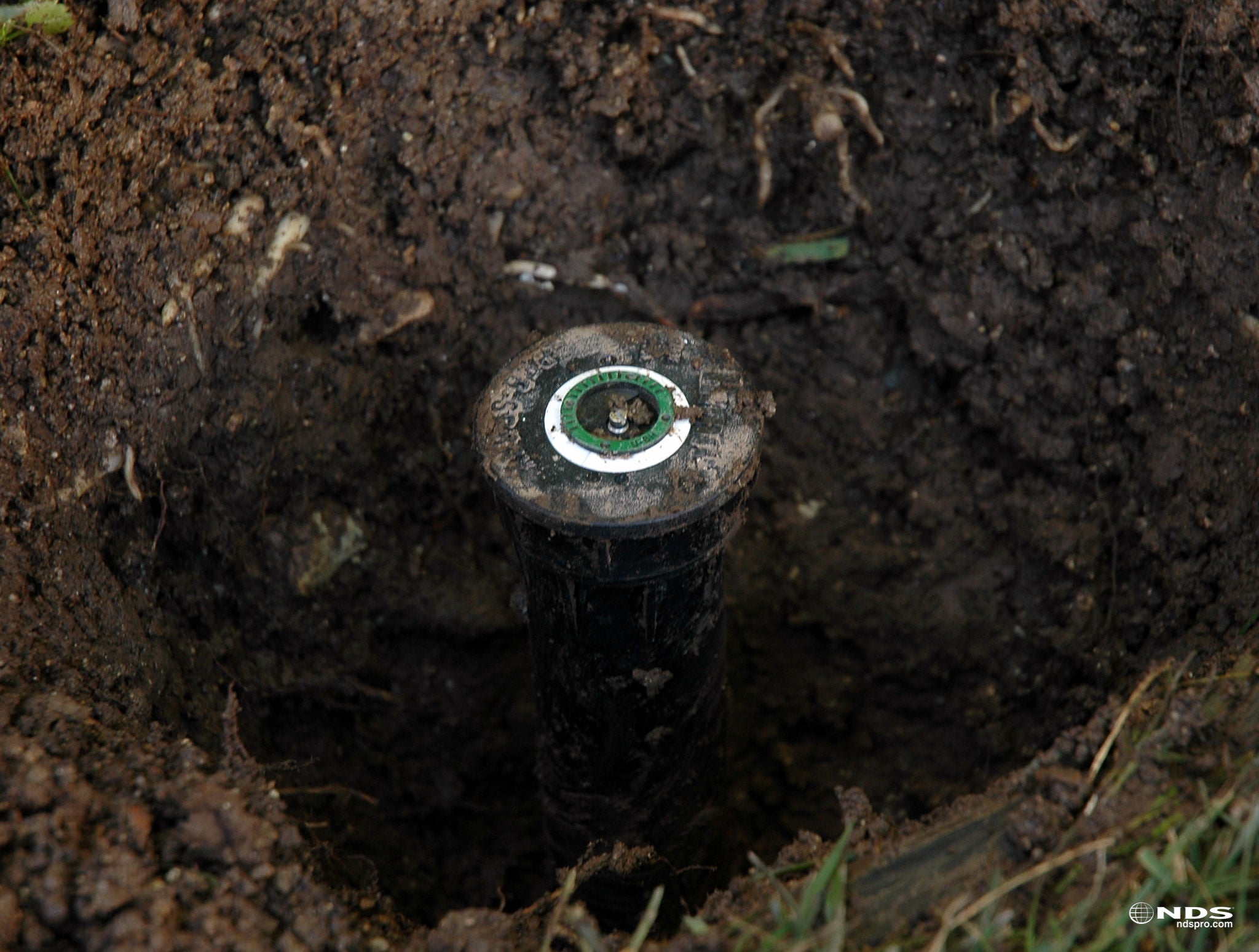 Converting sprinklers to drip, step 1 - locate the sprinkler head to convert