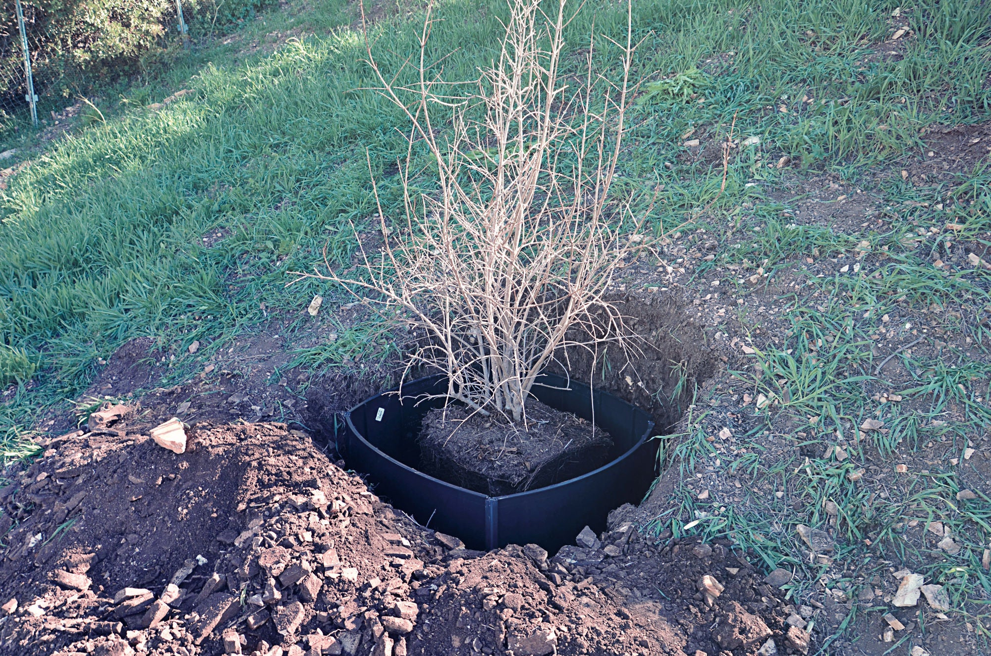 Tree solutions
