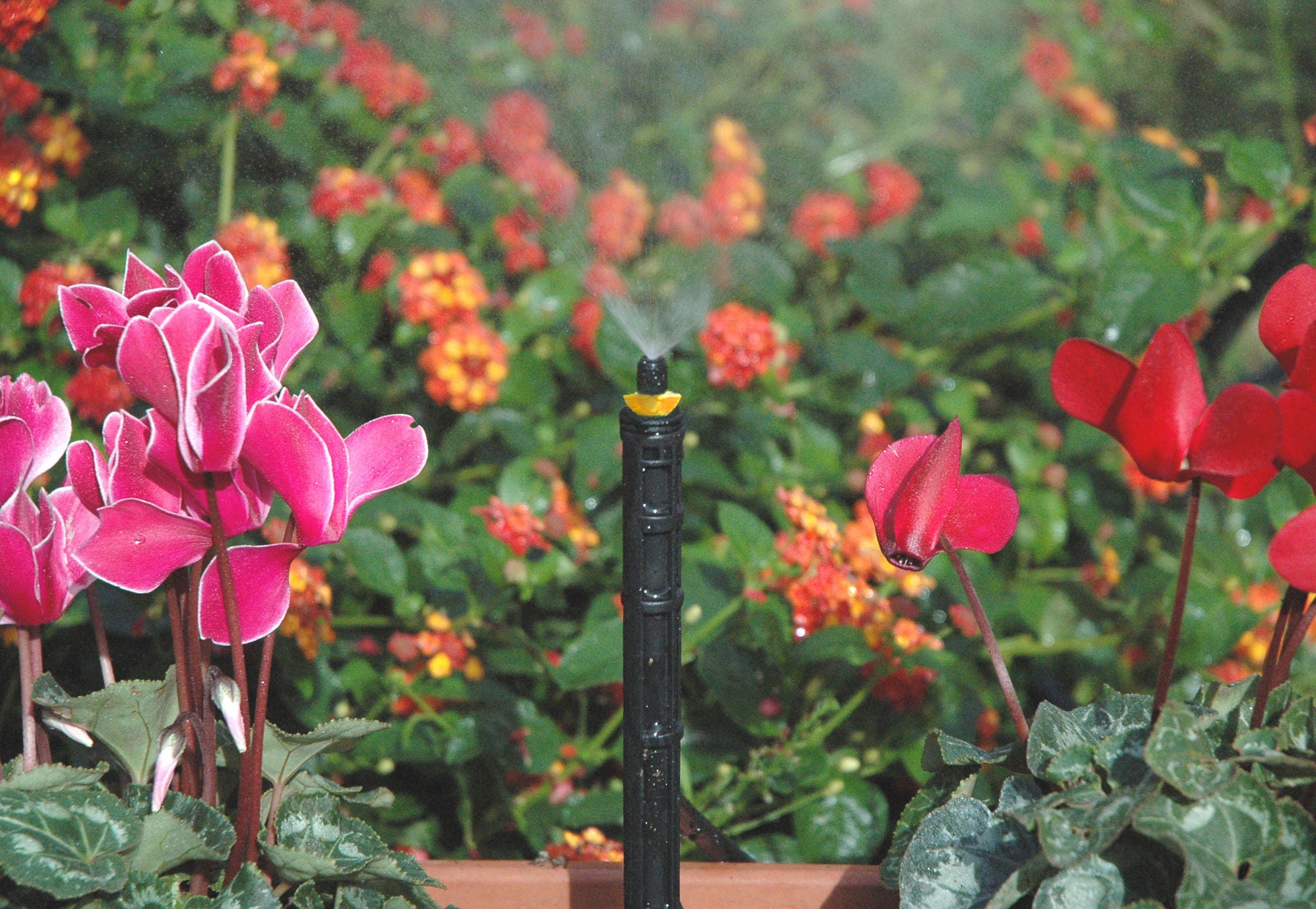 TECO Aquila™ Jets Micro Sprays