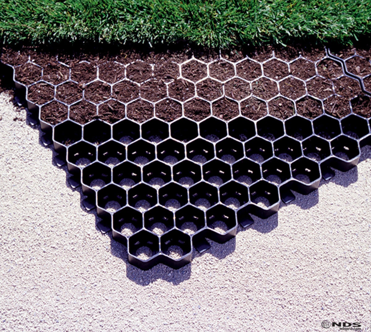 dirt in pavers showing wear the grass will grow