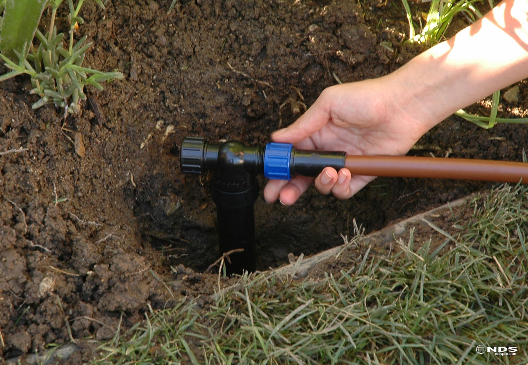 Converting sprinklers to drip, step 4 - connect the drip tubing