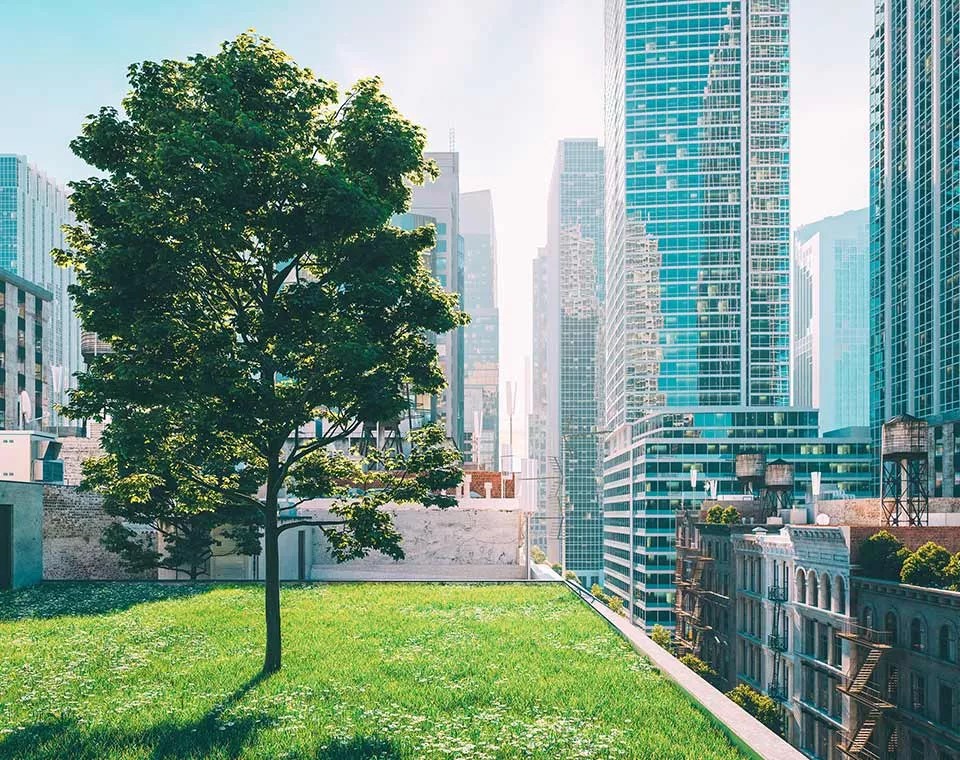 Urban Green Areas